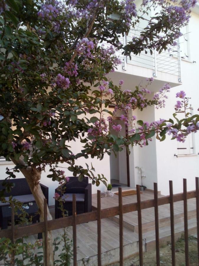 The Judas Trees Μέστρε Εξωτερικό φωτογραφία