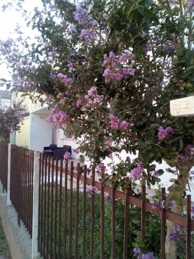 The Judas Trees Μέστρε Εξωτερικό φωτογραφία